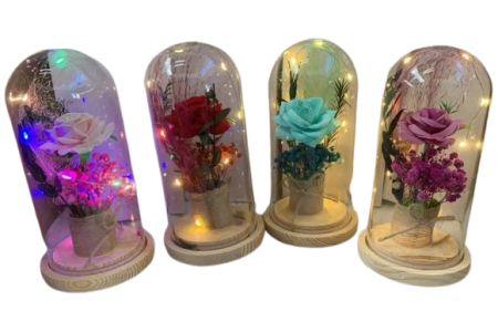 Šviečianti Rožė Stiklinėje