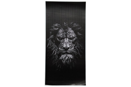 Lipdukas ant Automobilio Statramsčio Lion ( B-Pillar Sticker )