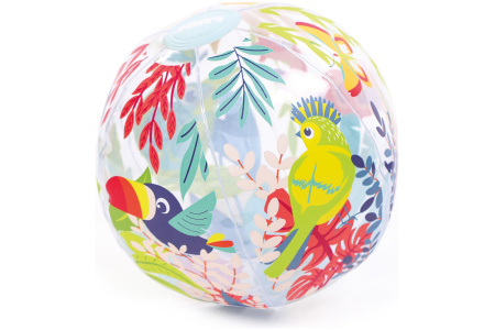 LUDI pripučiamas kamuolys