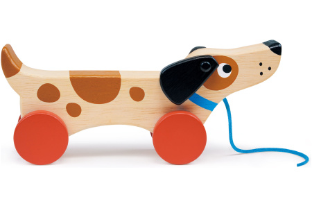 Mentari Šuniukas su 4 ratukais ir virvele