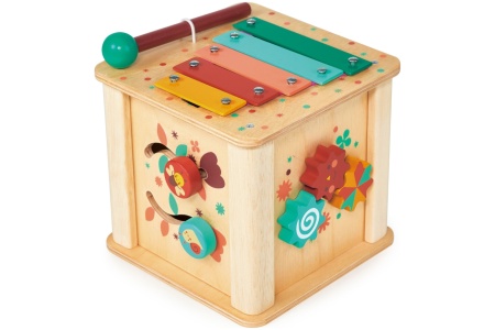 Mentari Mažylio veiklos kubas