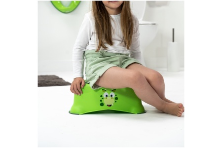 Neslystantis laiptelis, Dinozauras