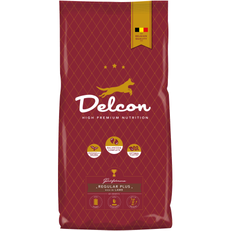 Visavertis pašaras suaugusiems šunims REGULAR PLUS su ėriena / 3 kg