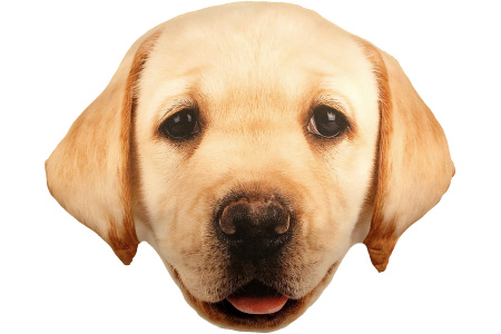 Splat Planet pagalvėlė-suvenyras LABRADORAS