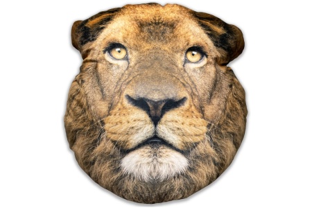 Splat Planet pagalvėlė-suvenyras LIŪTAS