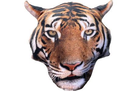 Splat Planet pagalvėlė-suvenyras TIGRAS