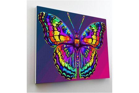 Splat Planet tapyba pagal skaičius, DRUGELIS 30x40 cm