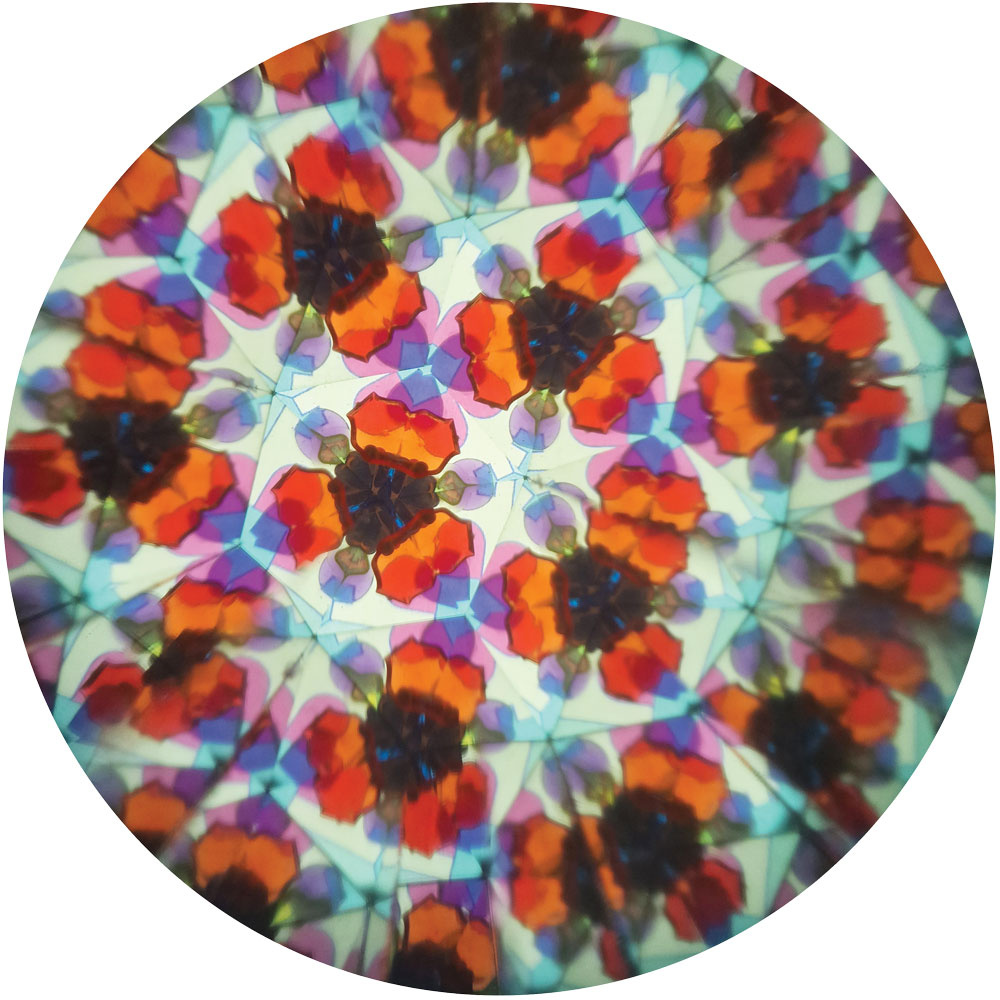 Svoora kaleidoskopas Riteris, 19 cm - Image 4