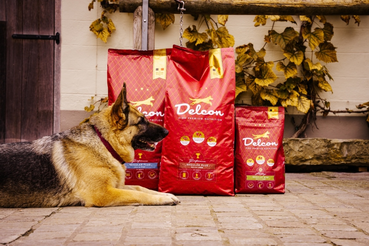 Visavertis pašaras suaugusiems šunims REGULAR PLUS su ėriena / 12 kg - Image 2