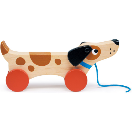 mt7106-puppy-on-wheels-1_1727427938 Mentari Šuniukas su 4 ratukais ir virvele