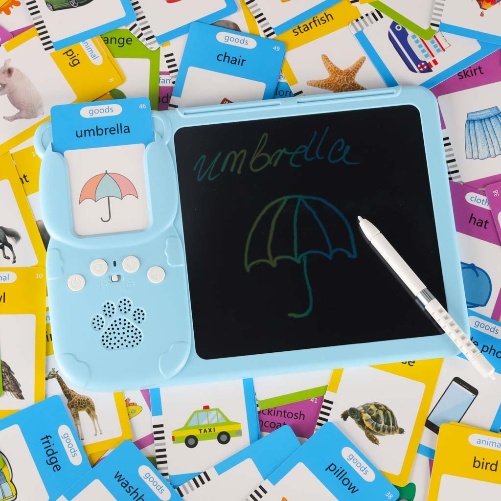 Anglų kalbos žodyno mokymosi kortelių skaitymo kortelė flipchart blue