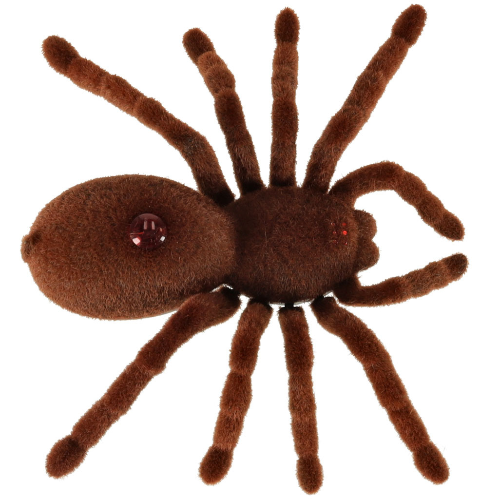 Pajak-TARANTULA-Zdalnie-Sterowany-robot-na-pilota-PILOT-147328 Nuotoliniu būdu valdomas TARANTULA voras + PILOTAS