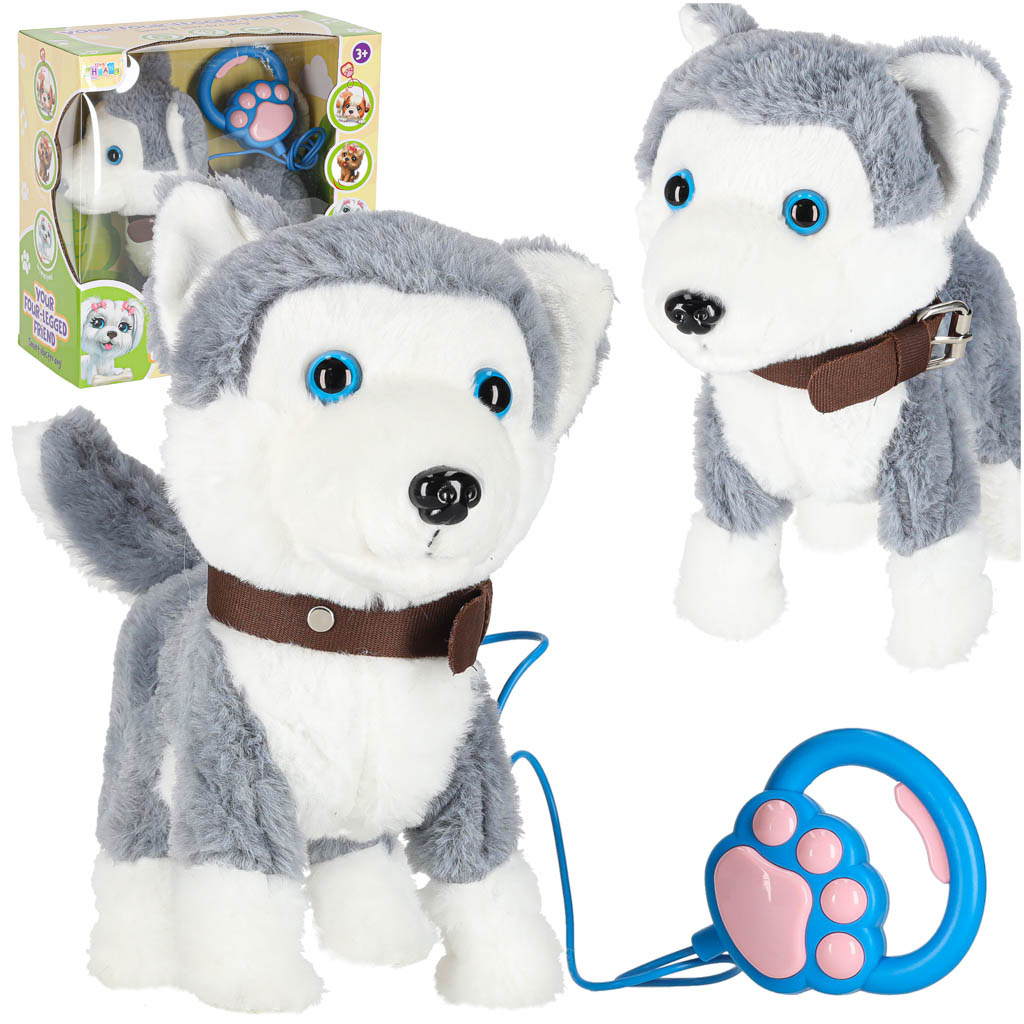 Piesek-interaktywny-na-smyczy-szczeka-chodzi-rusza-ogonem-Husky-175707 Interaktyvus šuo ant pavadėlio barksas pasivaikščiojimai vizgina uodegą haskis