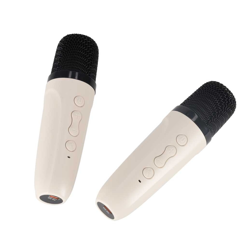 Karaokės rinkinys "Bluetooth" garsiakalbis LED RGB 2 mikrofonai USB