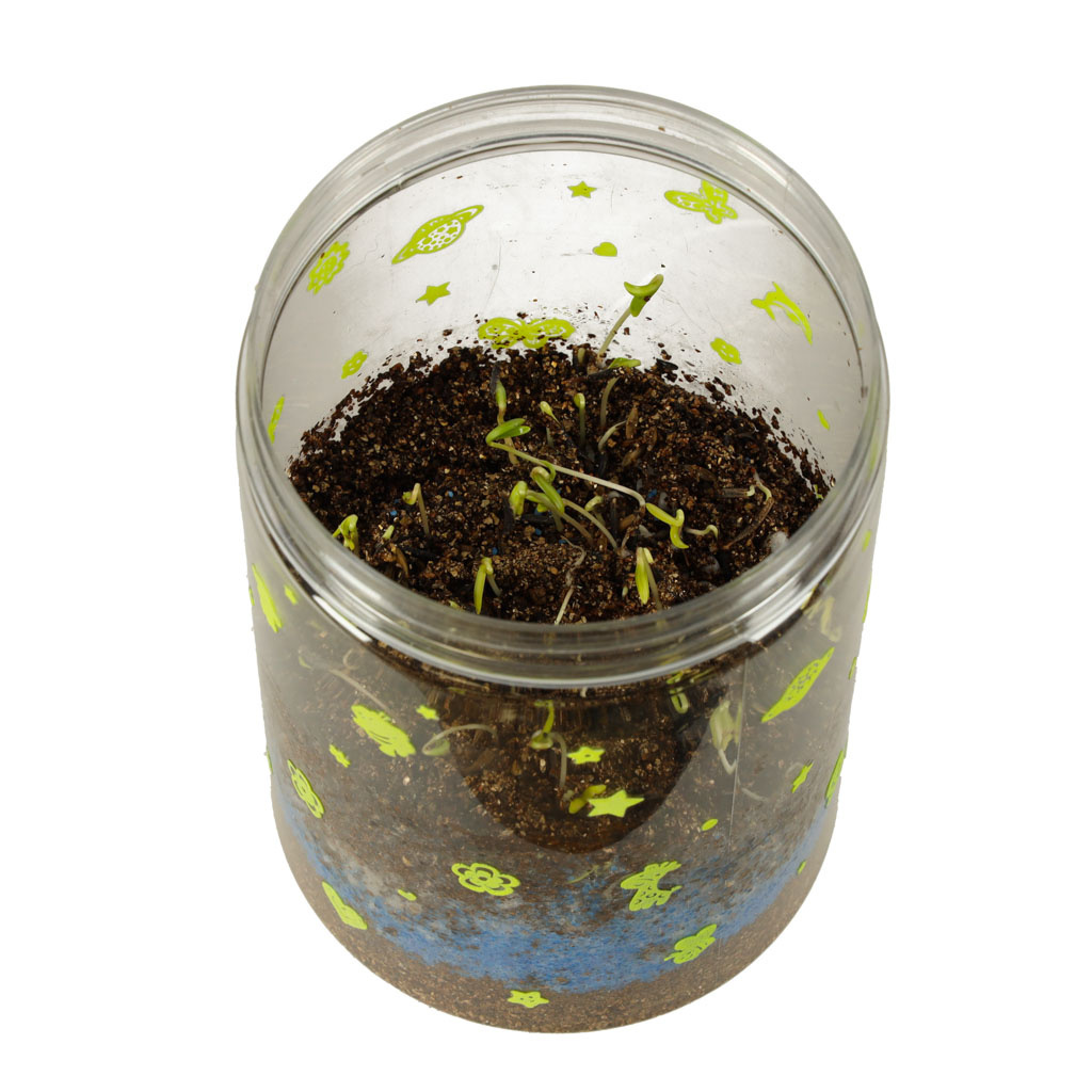 Hodowla-dinozaurow-terrarium-projektor-z-lampka-nocna-LED-161636 Dinozaurų veisimo terariumo projektorius su LED naktine šviesa